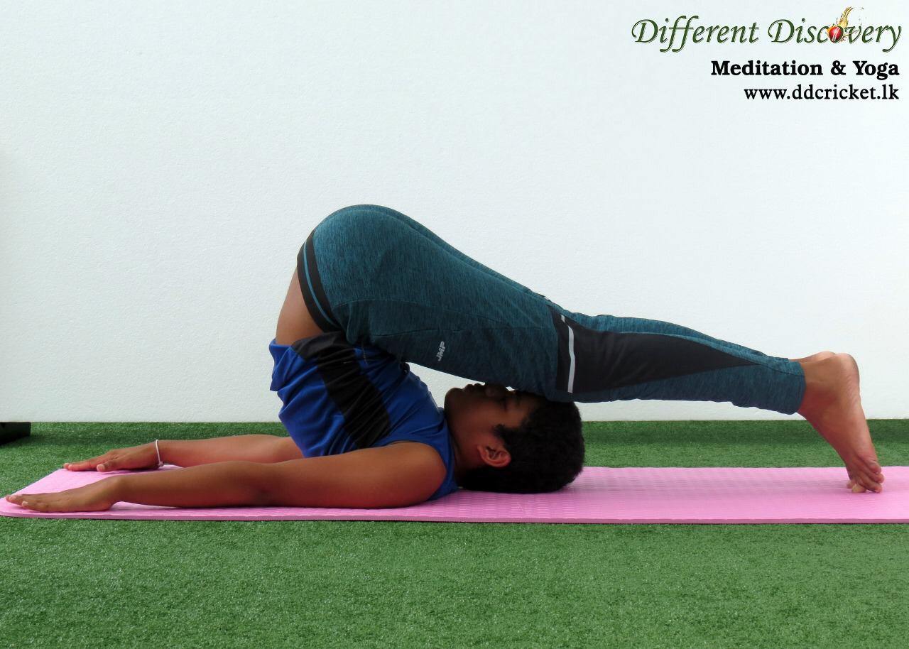 Meditation & Yoga